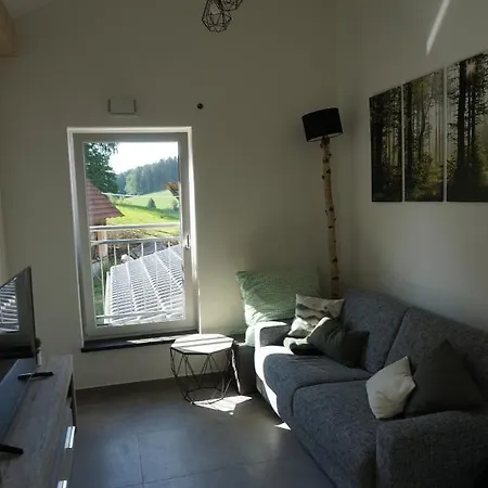 公寓 Haus Am See - Fewo Waldzauber - #76352 *